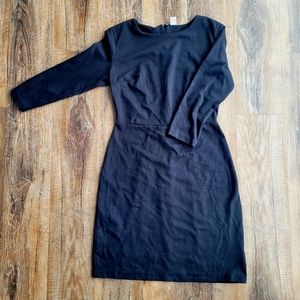 LBD Long Sleeve Darted Fitted Dress